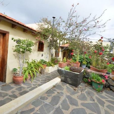 La Casa De Mis Padres Pensionat El Pinar  Exteriör bild
